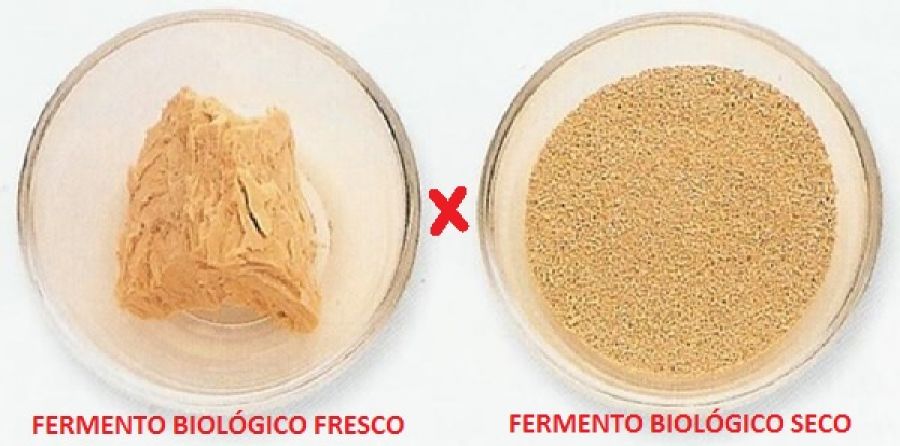 Fermento Biológico Fresco Ou Seco? Tire As Suas Dúvidas! - Receita Toda ...