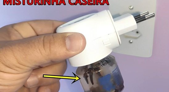 Dica Caseira Para Espantar Os Pernilongos E Manter A Casa Cheirosa