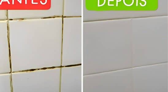 Misturinha Mágica Para Limpar Rejuntes Encardidos De Azulejos E Pisos