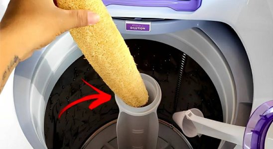 Dica caseira para nunca mais ter fiapos e pelos nas roupas