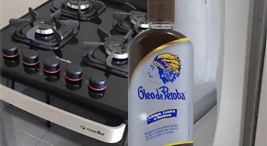 Ingrediente secreto para limpar e conservar fogões e geladeiras