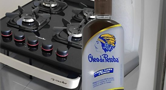 limpeza e conservação de fogoes e geladeiras com óleo de peroba
