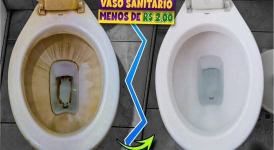 Misturinha para limpar vaso