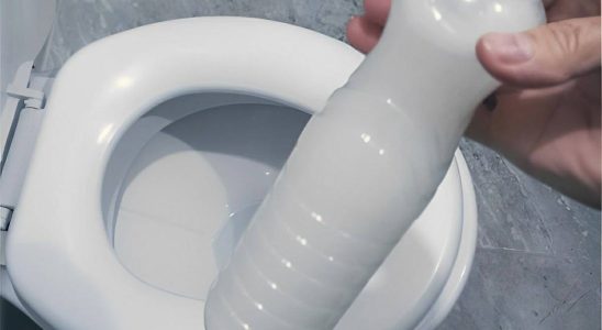 misturinha caseira para limpar banheiro