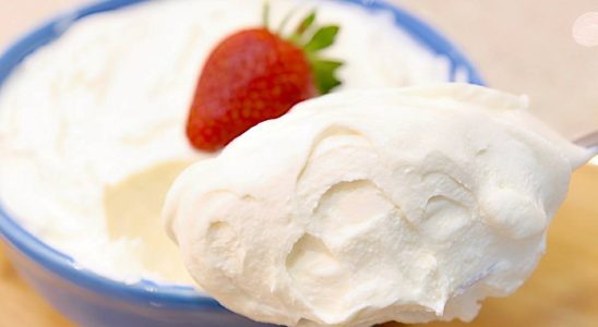 iogurte grego caseiro