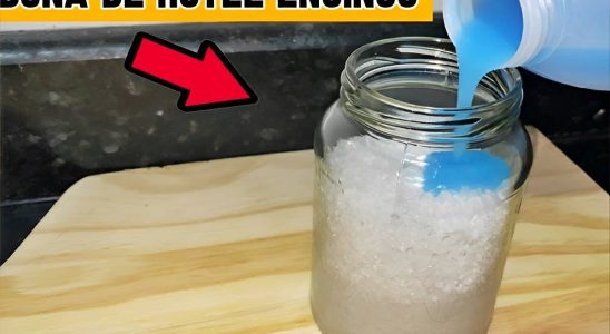 misturinha caseira para deixar a casa cheirosa