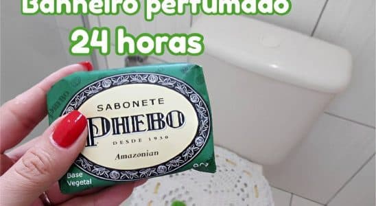 Dica Caseira Para Deixar Seu Banheiro Perfumado 24 Horas