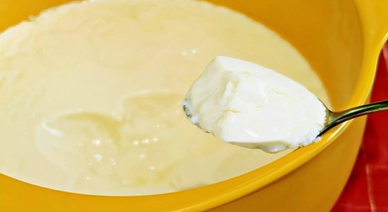 iogurte natural com 2 ingredientes