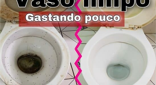 Como Limpar Vaso Sanitário