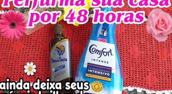 Deixe sua casa perfumada por 48 horas com esse cheirinho para casa com 2 ingredientes 4 cheirinho para casa