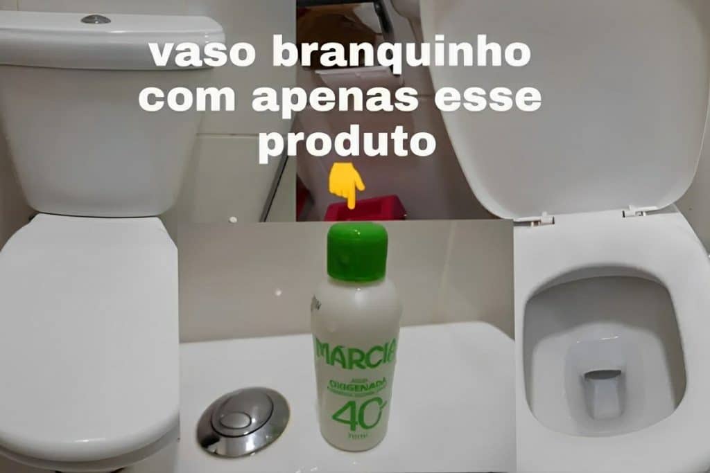 Como Limpar Vaso Sanitario