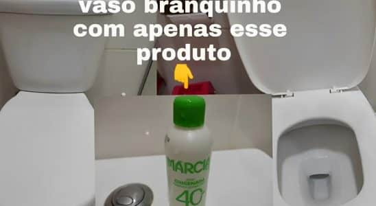 Como Limpar Vaso Sanitario