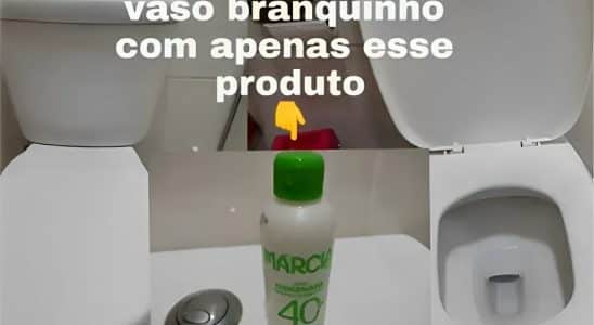 Como Limpar Vaso Sanitário