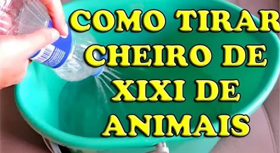 Como Tirar O Cheiro De Urina De Animais