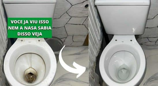 Dica De Limpeza Do Banheiro