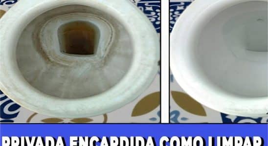 Como Desencardir Vaso Sanitário