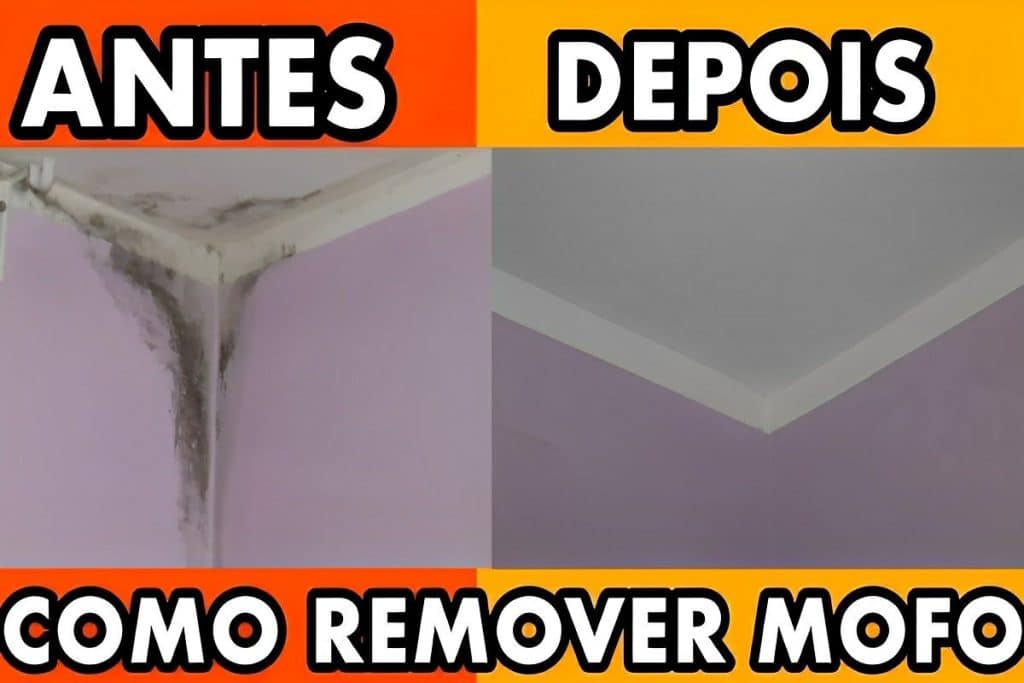 Como Remover Mofo Da Parede