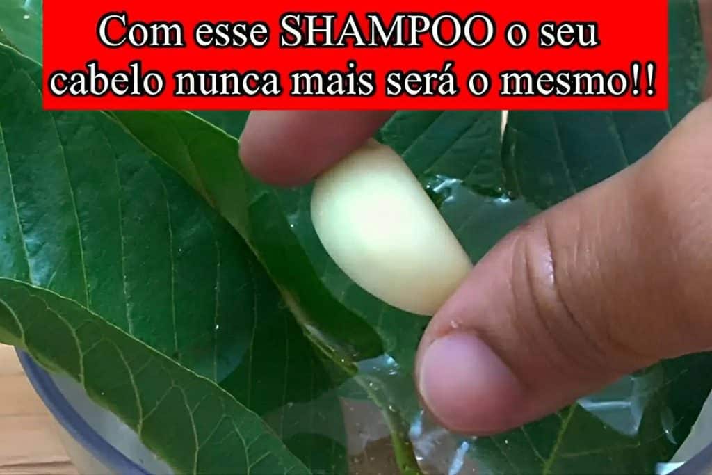 Shampoo Caseiro