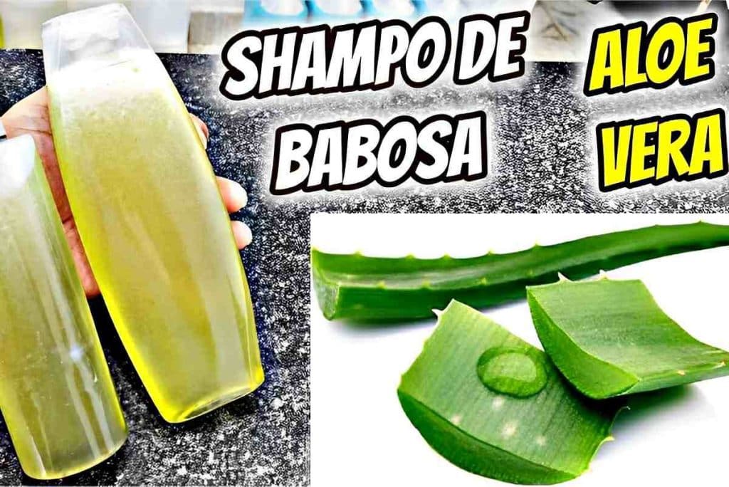 Shampoo De Babosa Caseiro