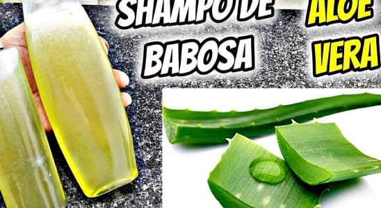Shampoo De Babosa Caseiro