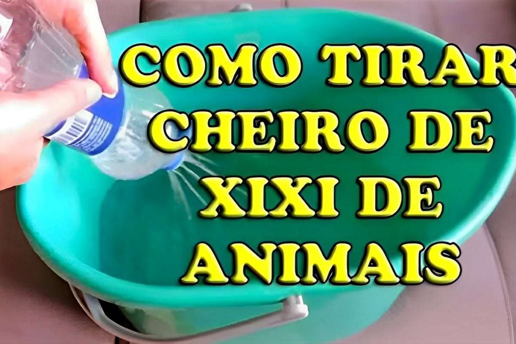 como tirar cheiro de urina de animais