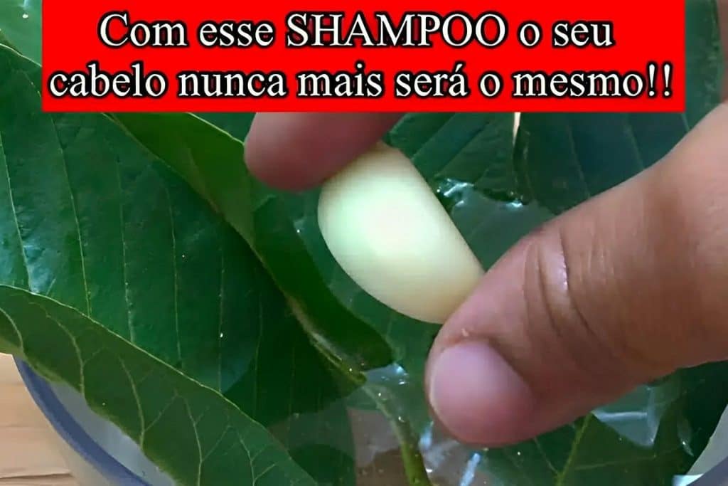 Shampoo Caseiro