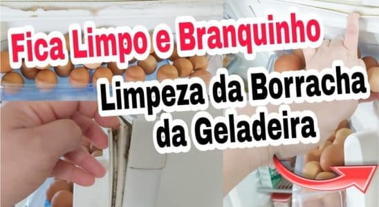 Como Limpar Borracha Da Geladeira