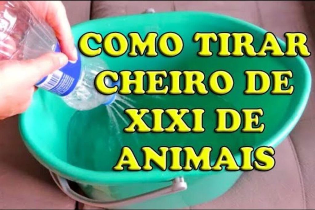 Como Tirar Cheiro De Urina De Animais