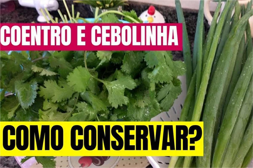 Como Conservar Coentro E Cebolinha