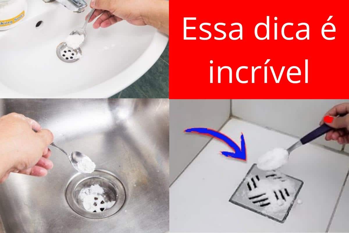 Como tirar mau cheiro dos ralos para deixar seu banheiro cheiroso a ...
