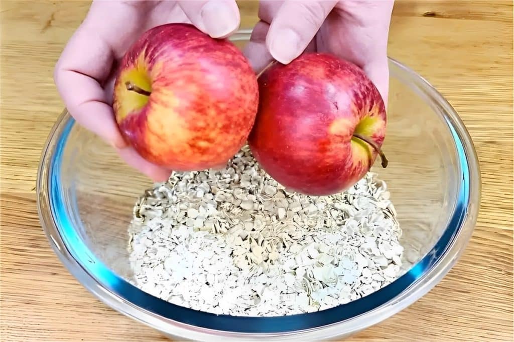 prato fit de aveia com maçã