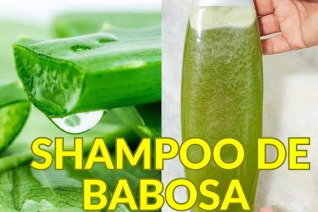 Shampoo De Babosa Caseiro