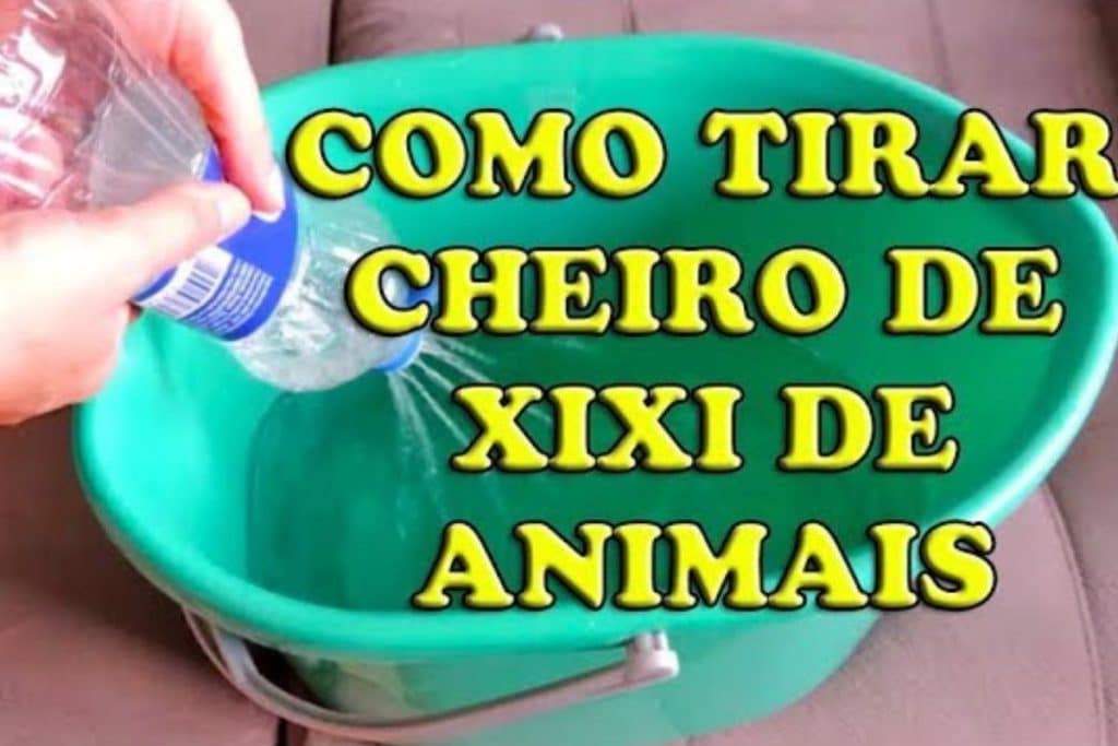 Como Tirar Cheiro De Urina De Animais