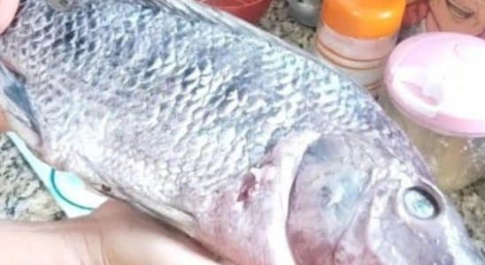 Peixe Assado No Forno