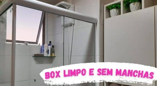 Como Limpar Box Do Banheiro