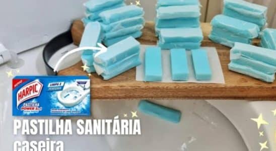 Pastilha Sanitária Caseira