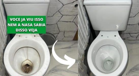 Como Limpar Vaso Sanitário Encardido