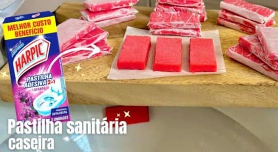 Pastilha Sanitária Caseira