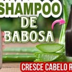 Shampoo De Babosa Caseiro