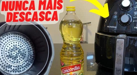 Como Conservar Air Fryer