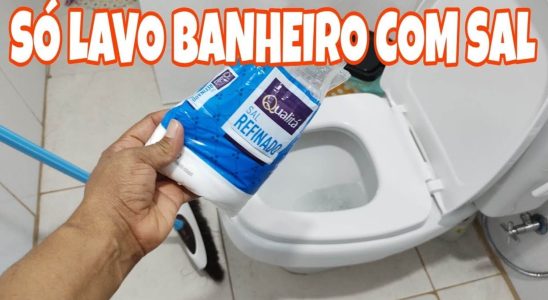 Dica Para Lavar Banheiro