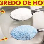 Dica Para Limpar Vaso Sanitário