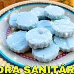 Pedra Sanitária Caseira