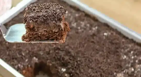 Bolo gelado de chocolate com cobertura: muito macio e molhadinho 3 bolo gelado de chocolate