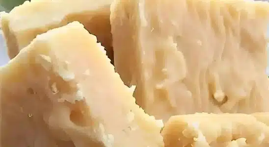 Cocada de leite moça que desmancha na boca feita com apenas 3 ingredientes 1 cocada de leite moça