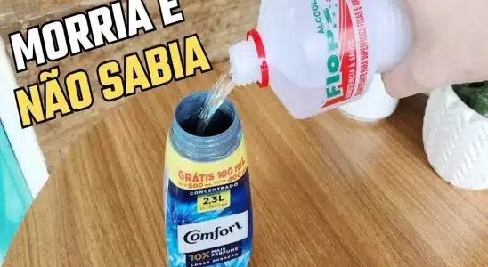 Como deixar a casa perfumada com cheiro de casa de rico a semana toda 2 como deixar a casa perfumada