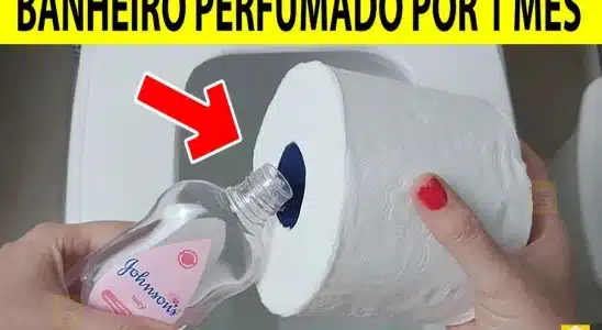 Como deixar banheiro perfumado o dia todo: dica caseira que dá muito resultado 3 como deixar banheiro perfumado