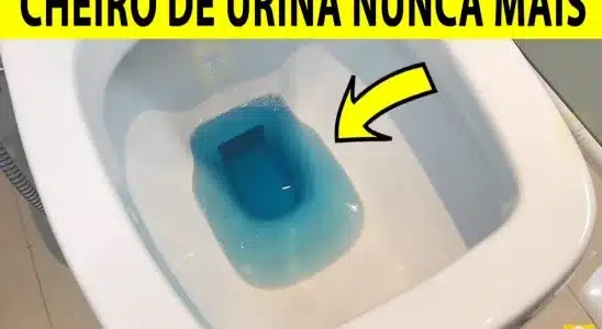 Como deixar o banheiro cheiroso 24h: aprendi esse truque com uma faxineira de shopping 2 como deixar o banheiro cheiroso