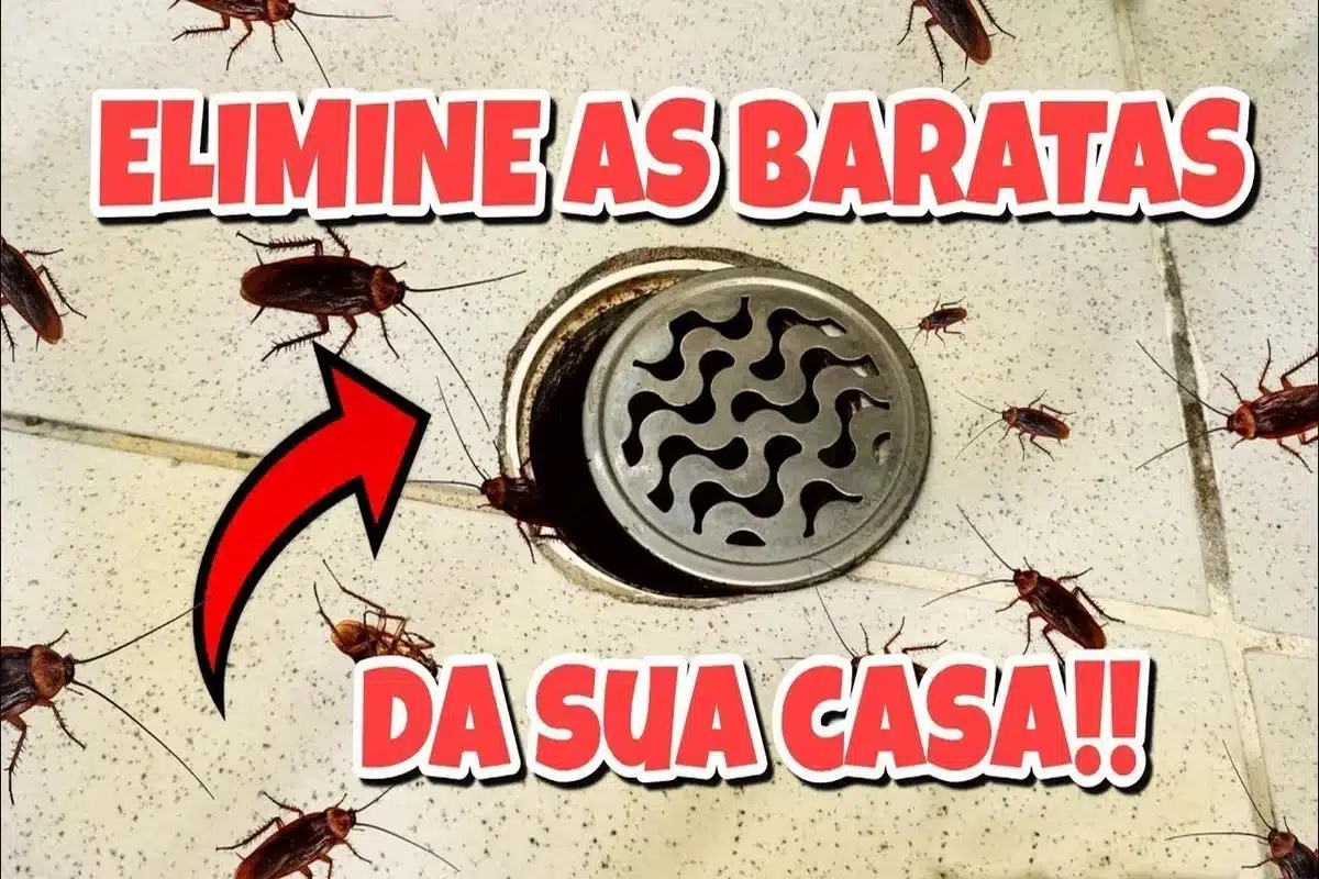 como eliminar baratas de casa