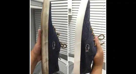 Como limpar tênis branco com uma misturinha caseira sensacional 3 como limpar tênis branco